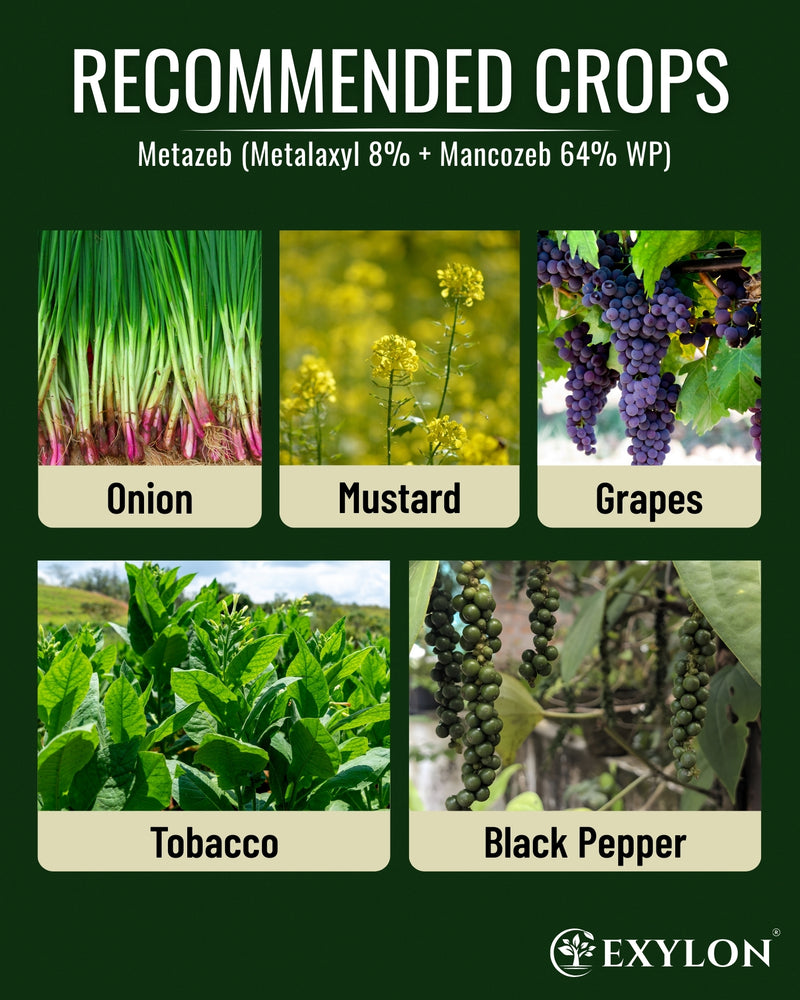 EXYLON METAZEB FUNGICIDE - Exylon Pesticides