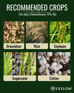 EXYLON THIA APEX INSECTICIDE - Exylon Pesticides