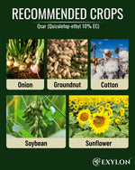 EXYLON QSAR HERBICIDE - Exylon Pesticides