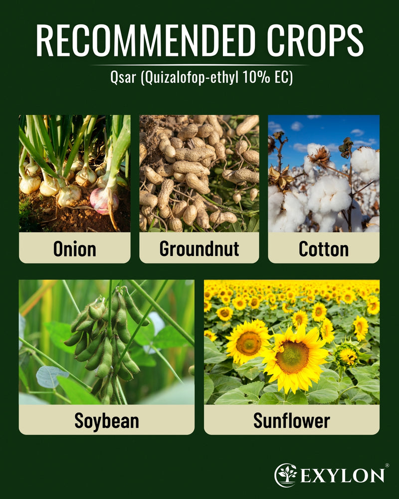 EXYLON QSAR HERBICIDE - Exylon Pesticides
