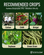EXYLON PYRITHRIN INSECTICIDE - Exylon Pesticides