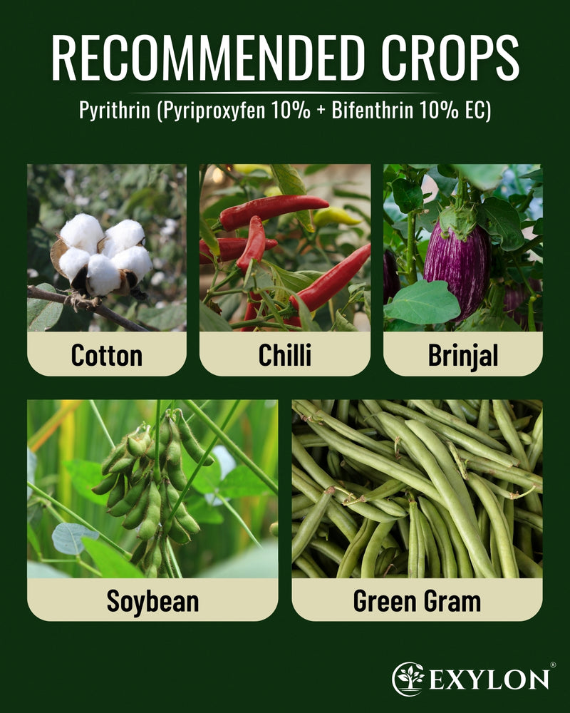 EXYLON PYRITHRIN INSECTICIDE - Exylon Pesticides