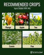 EXYLON SIGMA FUNGICIDE - Exylon Pesticides