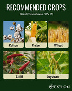 EXYLON THIAZOL INSECTICIDE - Exylon Pesticides