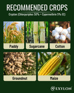 EXYLON CRYPTON INSECTICIDE - Exylon Pesticides