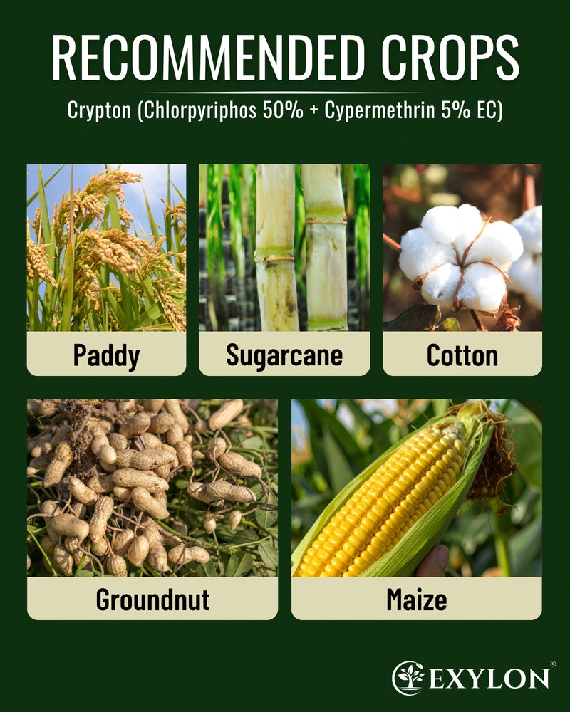 EXYLON CRYPTON INSECTICIDE - Exylon Pesticides