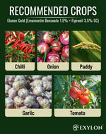 EXYLON ELANCE GOLD INSECTICIDE - Exylon Pesticides