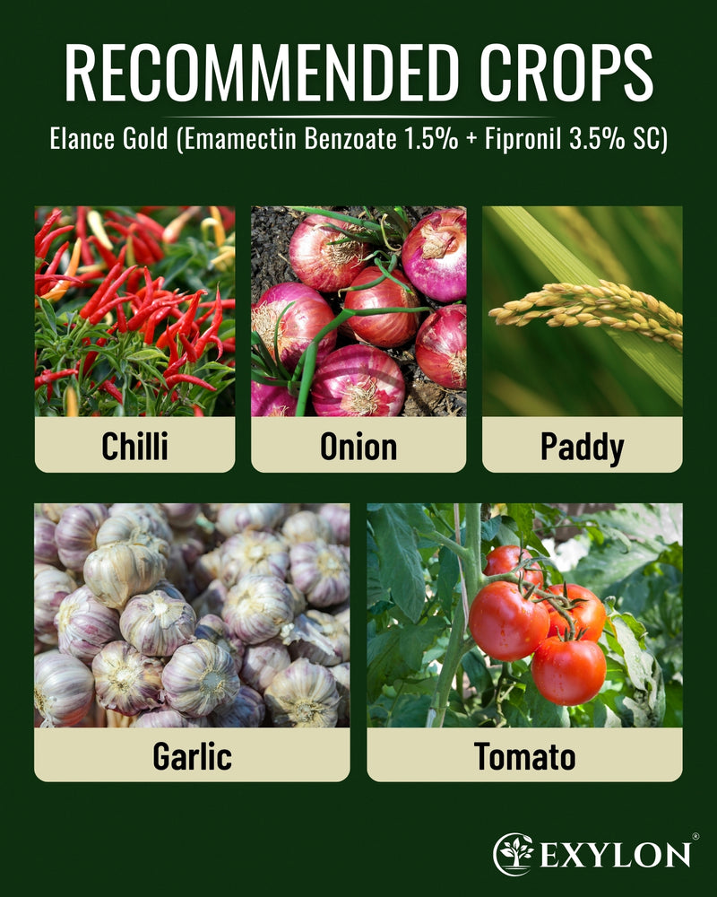 EXYLON ELANCE GOLD INSECTICIDE - Exylon Pesticides
