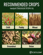 EXYLON TEBUSPARK FUNGICIDE - Exylon Pesticides