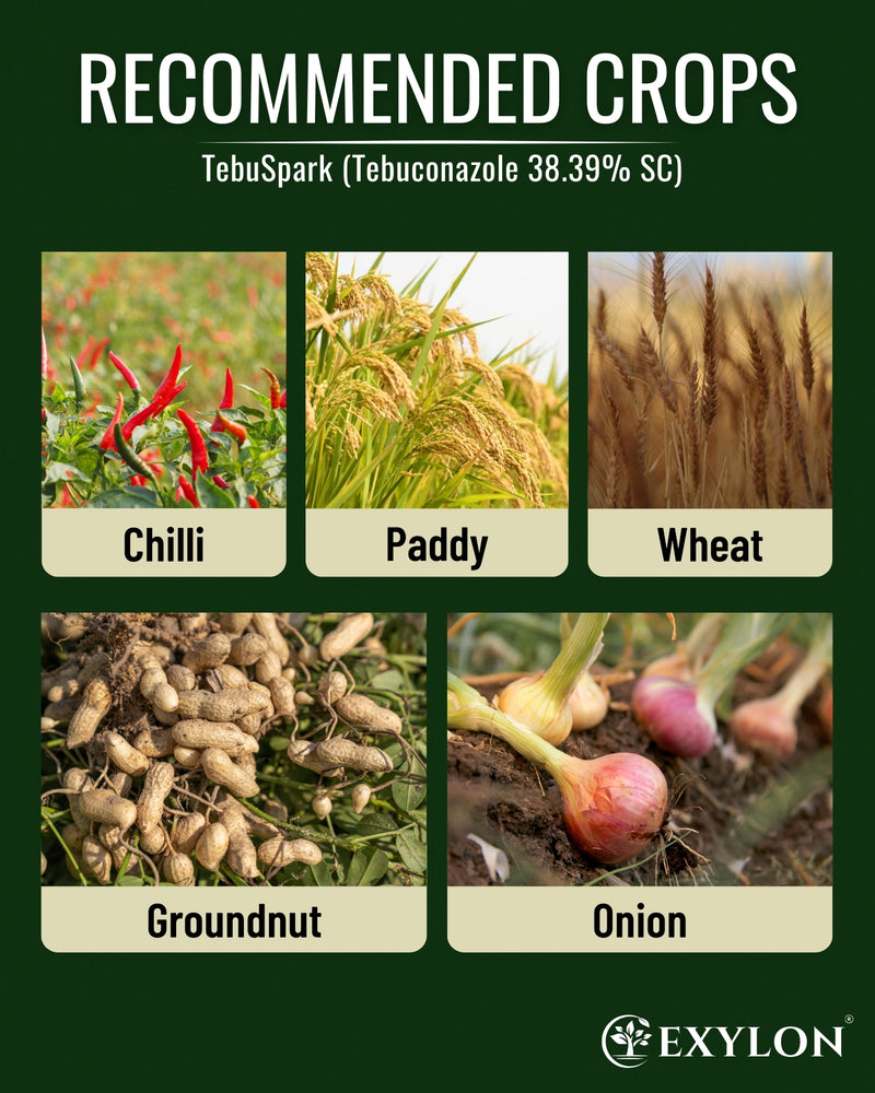EXYLON TEBUSPARK FUNGICIDE - Exylon Pesticides