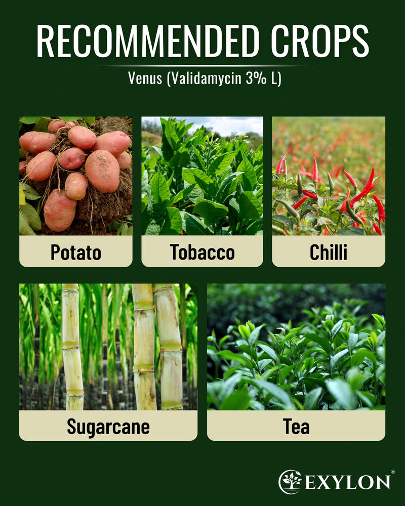 EXYLON VENUS FUNGICIDE - Exylon Pesticides