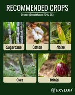 EXYLON DRONEX INSECTICIDE - Exylon Pesticides