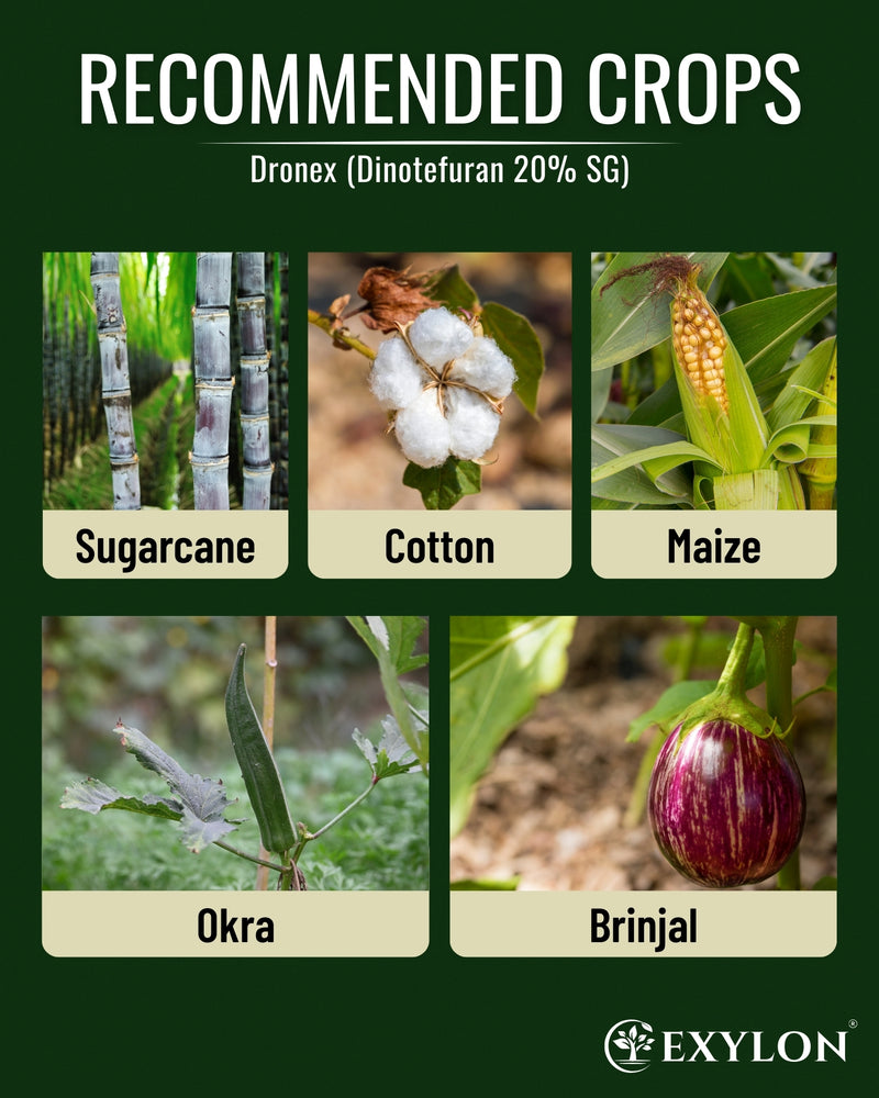 EXYLON DRONEX INSECTICIDE - Exylon Pesticides