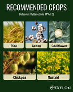 EXYLON DEFENDER INSECTICIDE - Exylon Pesticides
