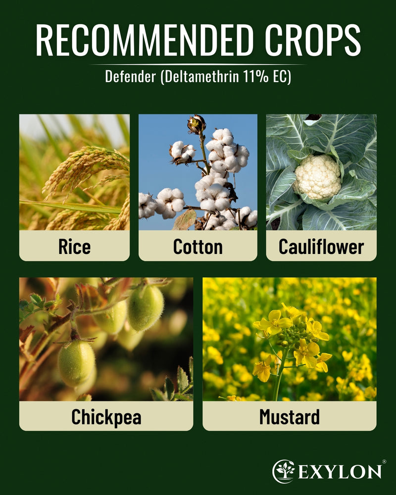 EXYLON DEFENDER INSECTICIDE - Exylon Pesticides