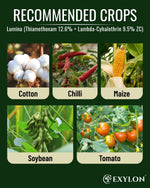 EXYLON LUMINA INSECTICIDE - Exylon Pesticides