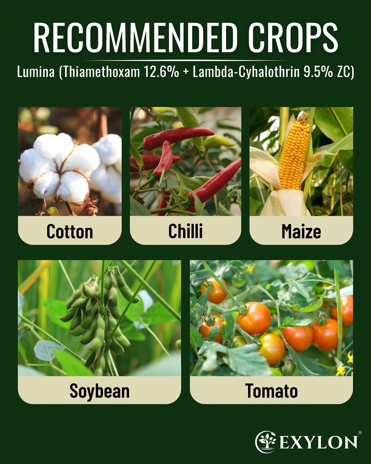 EXYLON LUMINA INSECTICIDE - Exylon Pesticides