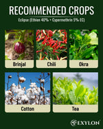 EXYLON ECLIPSE INSECTICIDE - Exylon Pesticides