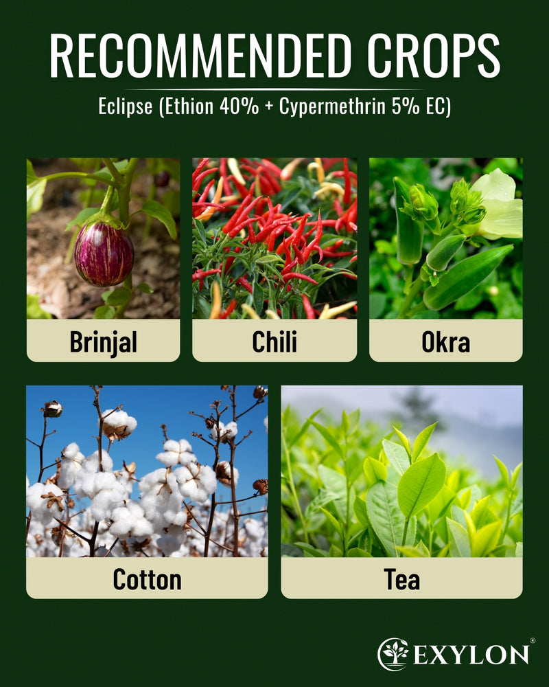 EXYLON ECLIPSE INSECTICIDE - Exylon Pesticides