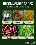 EXYLON LAMBDAMAX INSECTICIDE - Exylon Pesticides