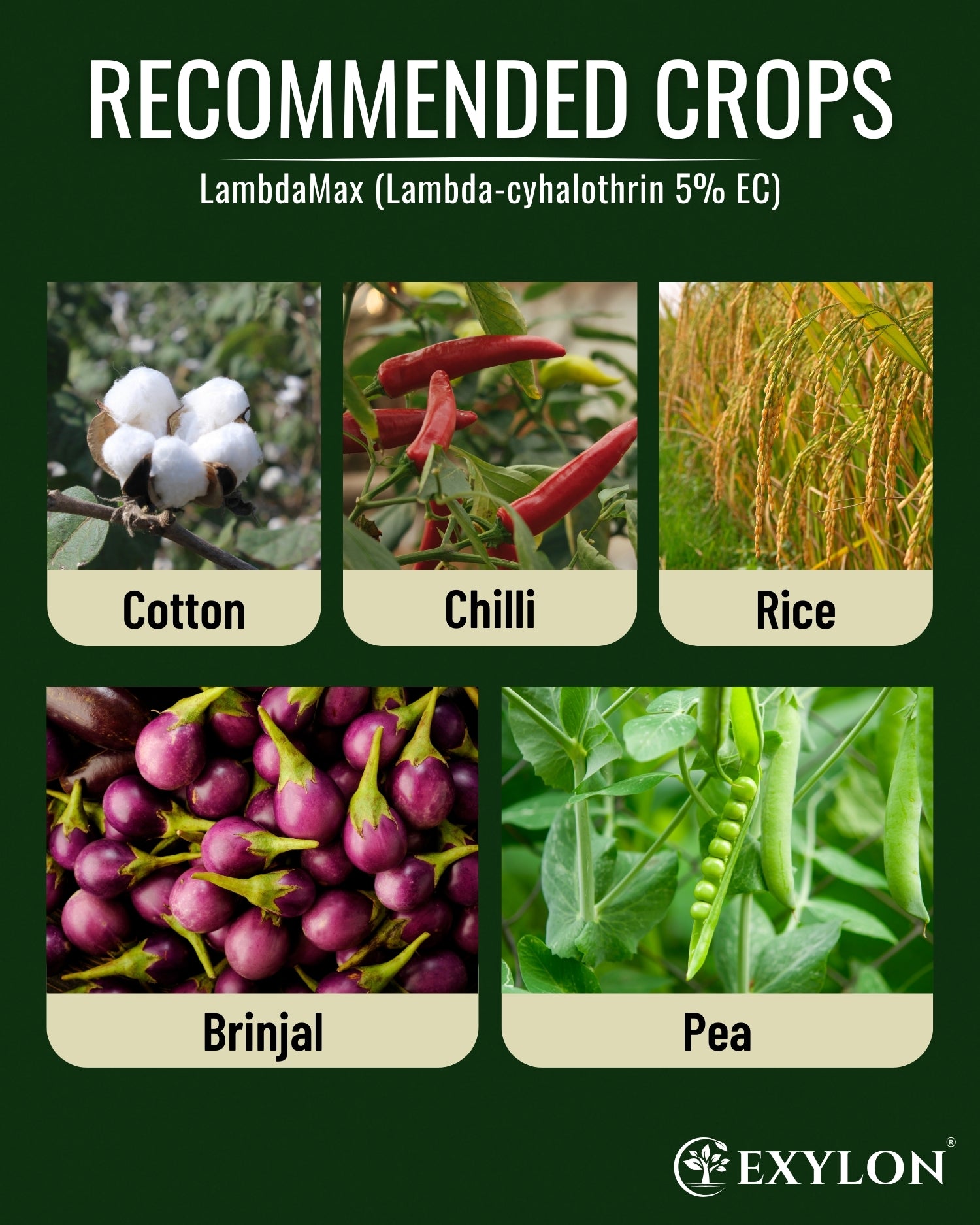 EXYLON LAMBDAMAX INSECTICIDE - Exylon Pesticides