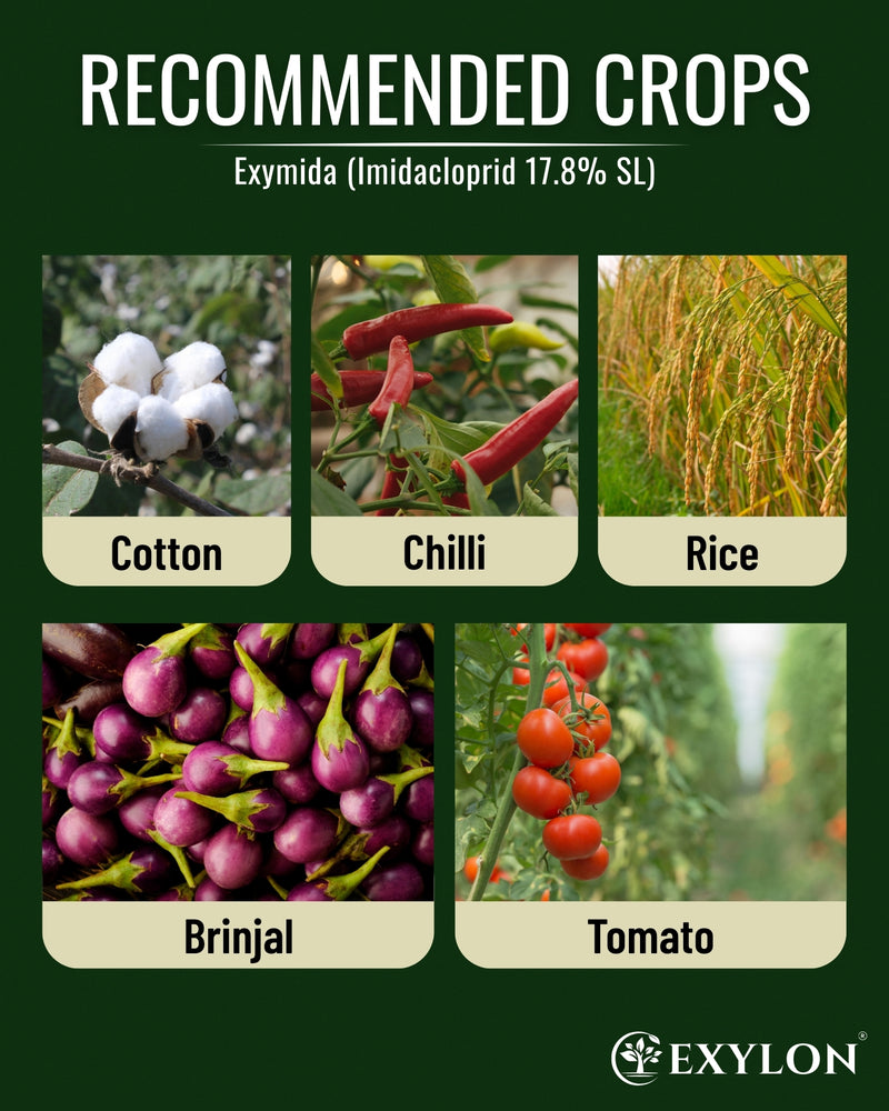 EXYLON EXYMIDA INSECTICIDE - Exylon Pesticides