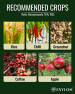 EXYLON HELIX FUNGICIDE - Exylon Pesticides