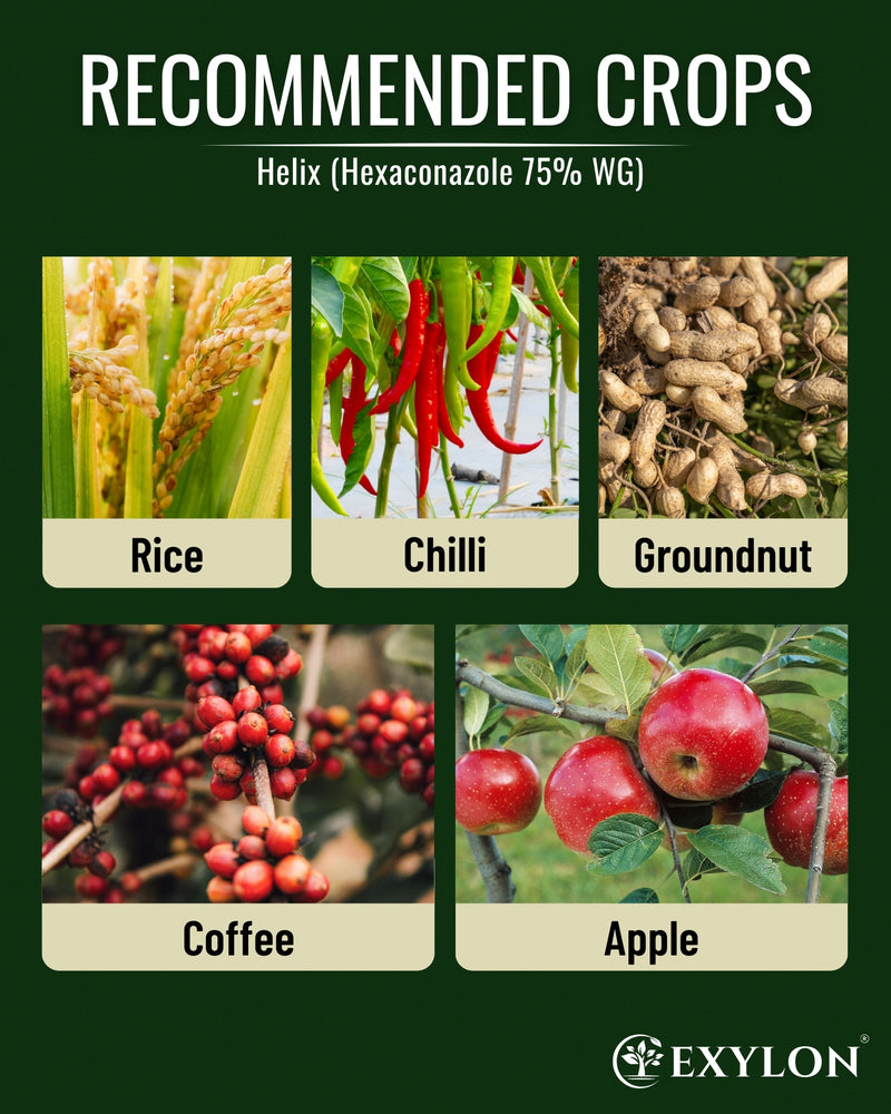 EXYLON HELIX FUNGICIDE - Exylon Pesticides