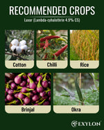EXYLON LUXOR INSECTICIDE - Exylon Pesticides