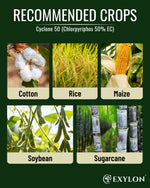 EXYLON CYCLONE 50 INSECTICIDE - Exylon Pesticides