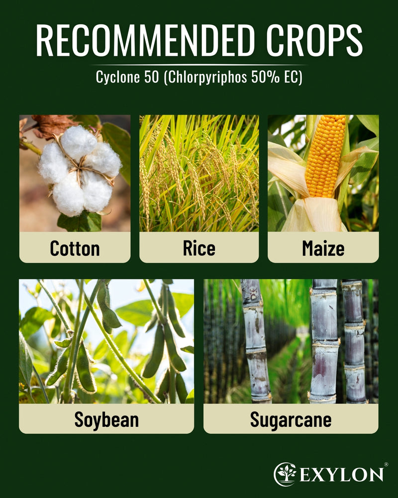 EXYLON CYCLONE 50 INSECTICIDE - Exylon Pesticides