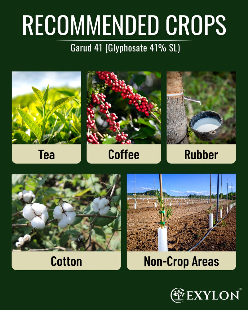 EXYLON GARUD 41 HERBICIDE - Exylon Pesticides