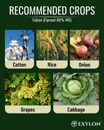 EXYLON FALCON INSECTICIDE - Exylon Pesticides