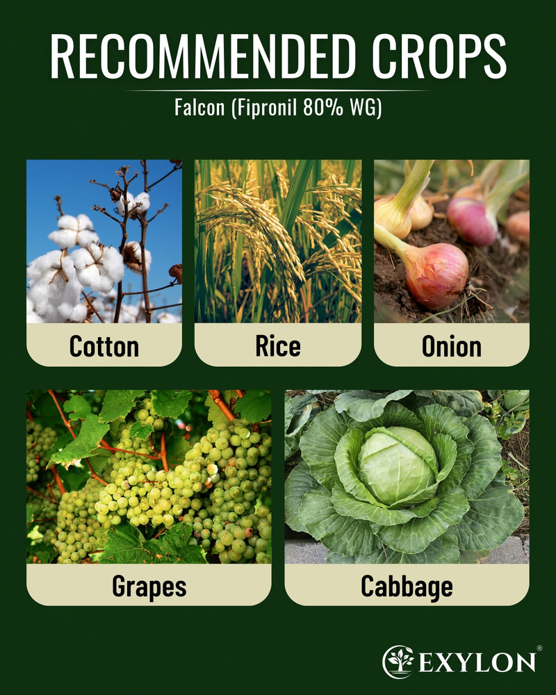 EXYLON FALCON INSECTICIDE - Exylon Pesticides