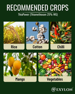EXYLON THIAPOWER INSECTICIDE - Exylon Pesticides