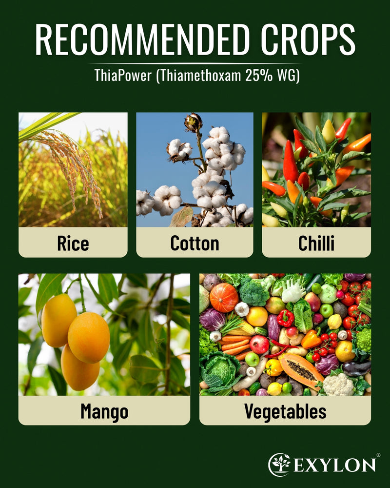 EXYLON THIAPOWER INSECTICIDE - Exylon Pesticides