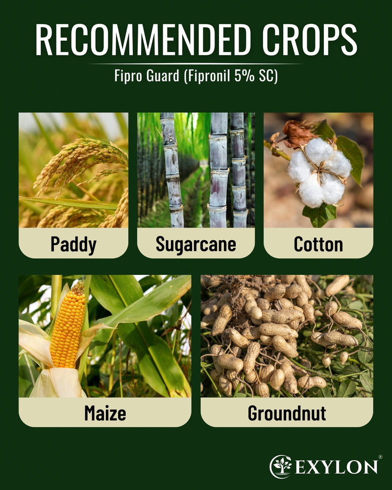 EXYLON FIPROGUARD INSECTICIDE - Exylon Pesticides