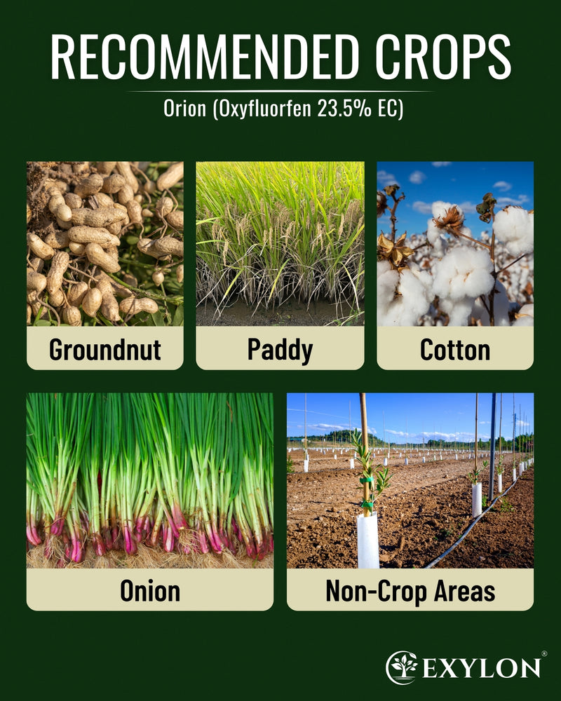 EXYLON ORION HERBICIDE - Exylon Pesticides