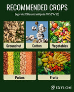 EXYLON EXYPROLE INSECTICIDE - Exylon Pesticides