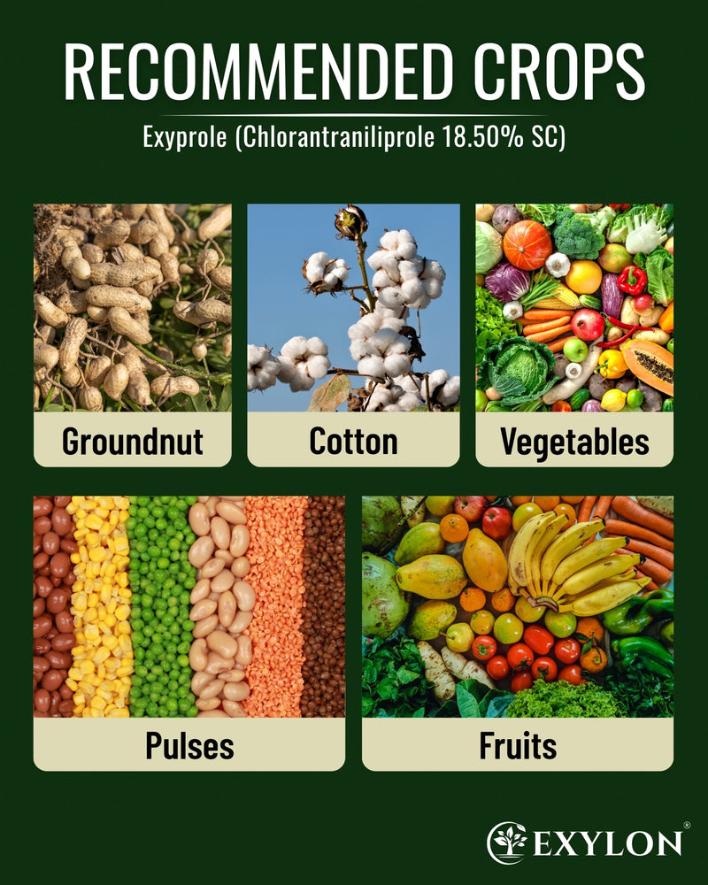 EXYLON EXYPROLE INSECTICIDE - Exylon Pesticides