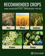 EXYLON AETHER FUNGICIDE - Exylon Pesticides