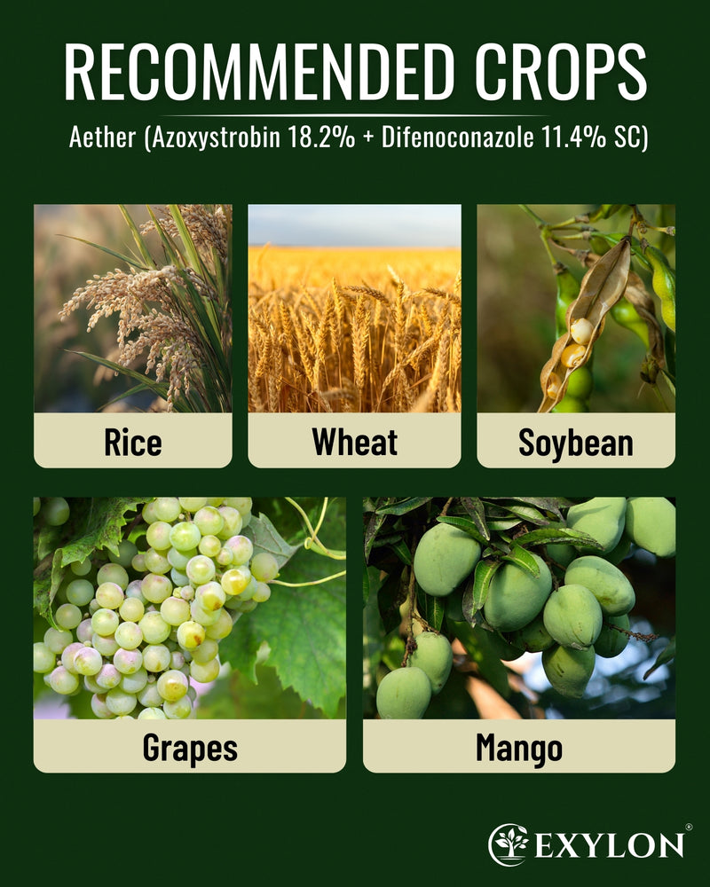 EXYLON AETHER FUNGICIDE - Exylon Pesticides