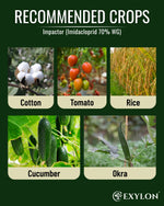 EXYLON IMPACTOR INSECTICIDE - Exylon Pesticides