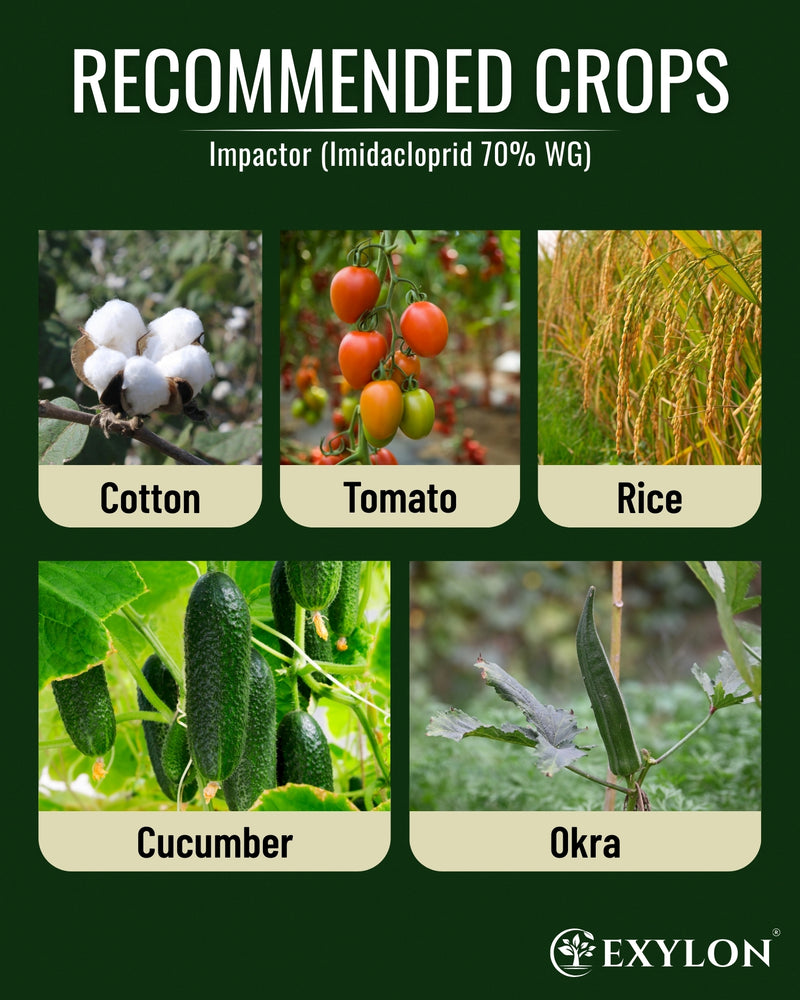 EXYLON IMPACTOR INSECTICIDE - Exylon Pesticides