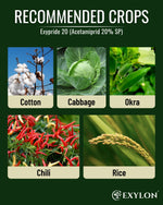 EXYLON EXYPRIDE 20 INSECTICIDE - Exylon Pesticides