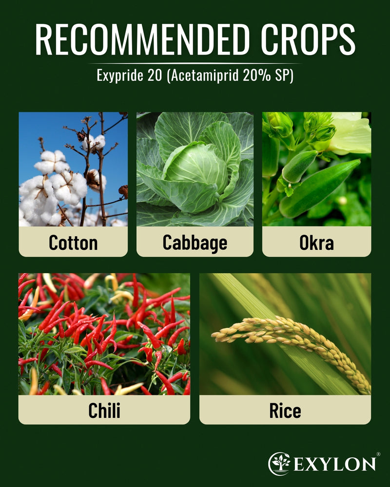 EXYLON EXYPRIDE 20 INSECTICIDE - Exylon Pesticides