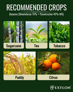 EXYLON DYNEMO INSECTICIDE - Exylon Pesticides