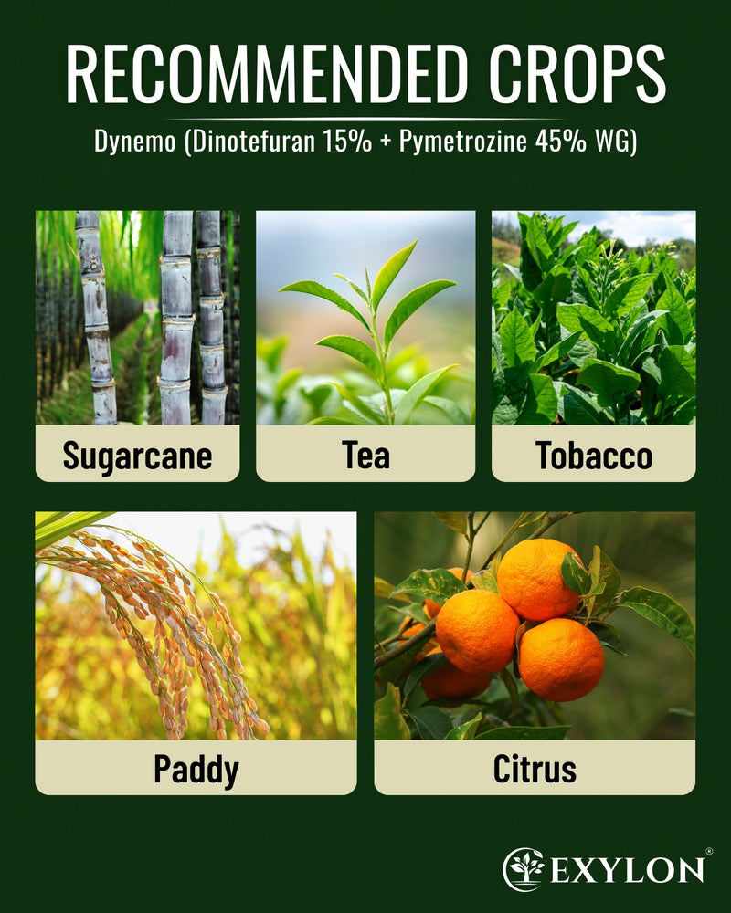 EXYLON DYNEMO INSECTICIDE - Exylon Pesticides