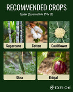EXYLON CYPHER INSECTICIDE - Exylon Pesticides