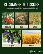 EXYLON AZTEC FUNGICIDE - Exylon Pesticides